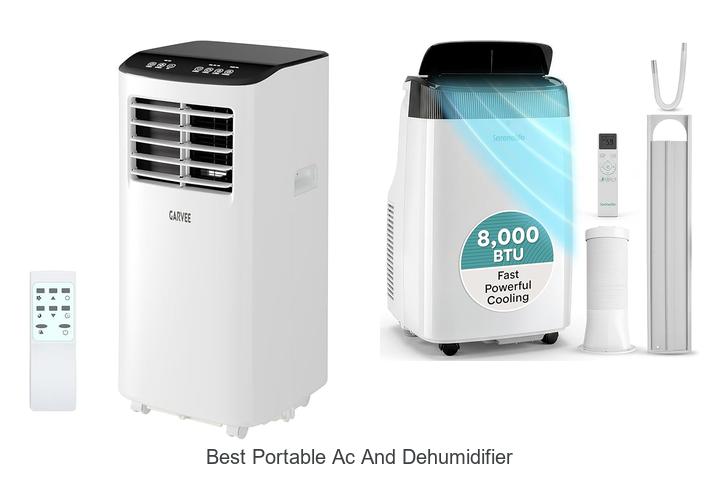 Best Portable AC and Dehumidifier That Will Blow Your Mind!