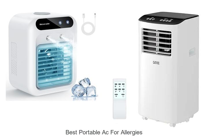Best Portable AC for Allergies That Will Change Your Life