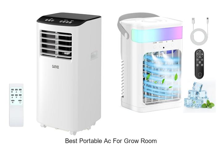 Best Portable AC For Grow Room That Will Blow You Away!