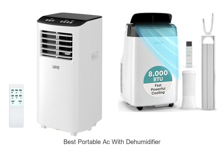 Best Portable AC With Dehumidifier That Will Blow Your Mind