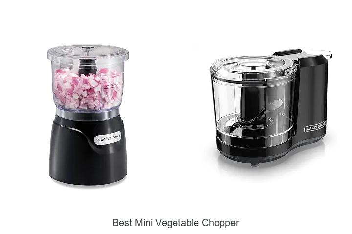 Best Mini Vegetable Chopper to Slice & Dice Fast!