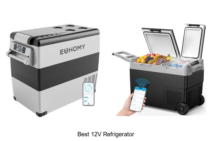 best 12v refrigerator