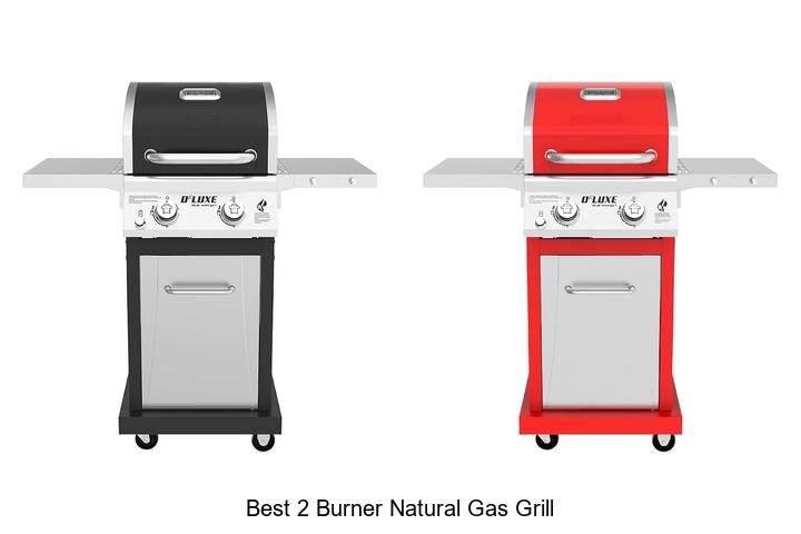 best 2 burner natural gas grill