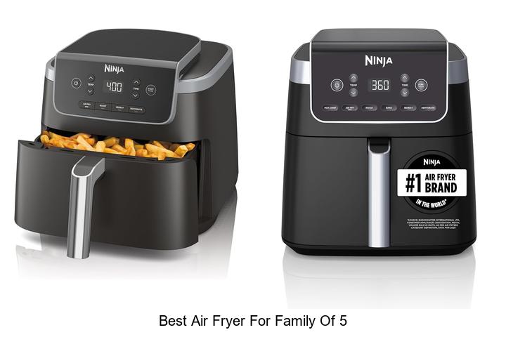 best air fryer for family of 5
