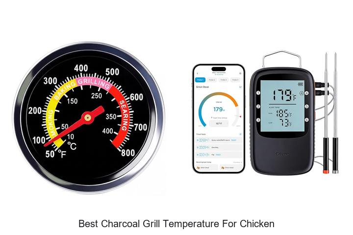 best charcoal grill temperature for chicken