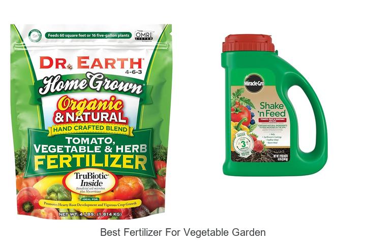 Best Fertilizer for Vegetable Garden to Boost Growth Fast!