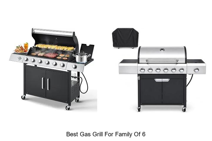 best gas grill for family of 6