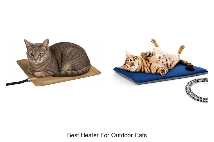 best heater for outdoor cats