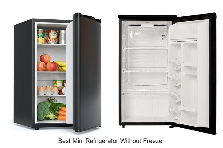 best mini refrigerator without freezer