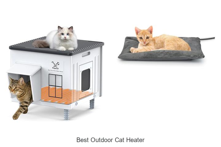 best outdoor cat heater