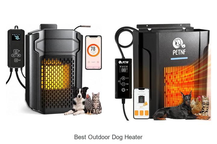 best outdoor dog heater