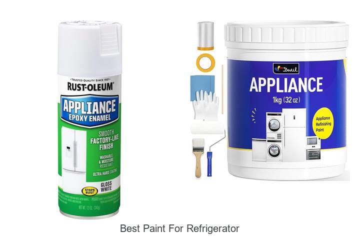 best paint for refrigerator