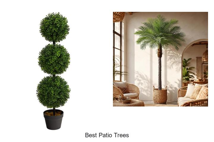 best patio trees