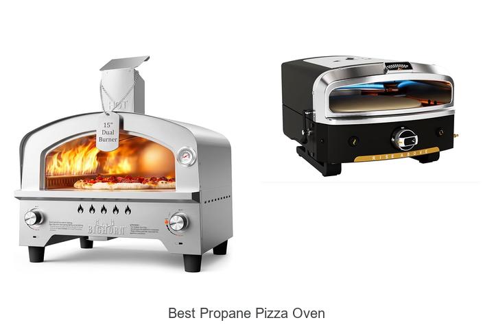 best propane pizza oven