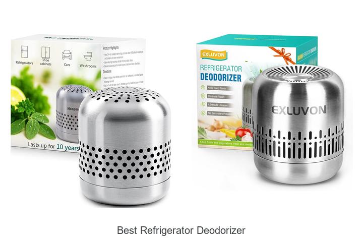 best refrigerator deodorizer