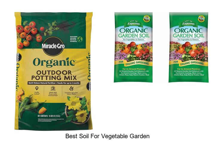 Best Soil for Vegetable Garden: Unlock Your Garden’s Potential!