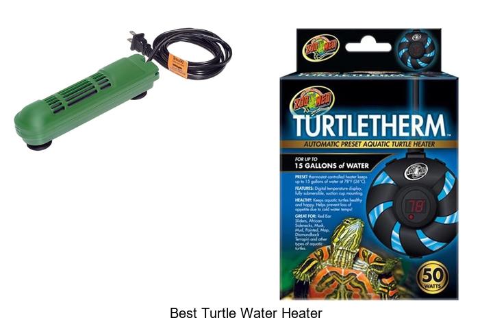 best turtle water heater