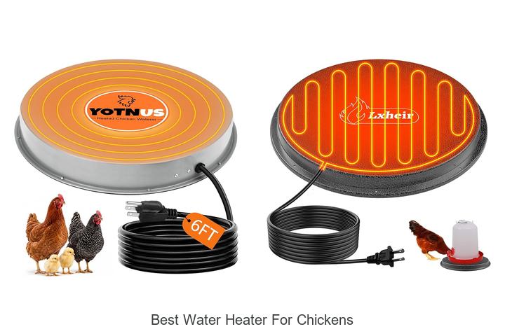 best water heater for chickens