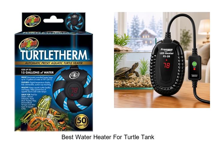 best water heater for turtle tank