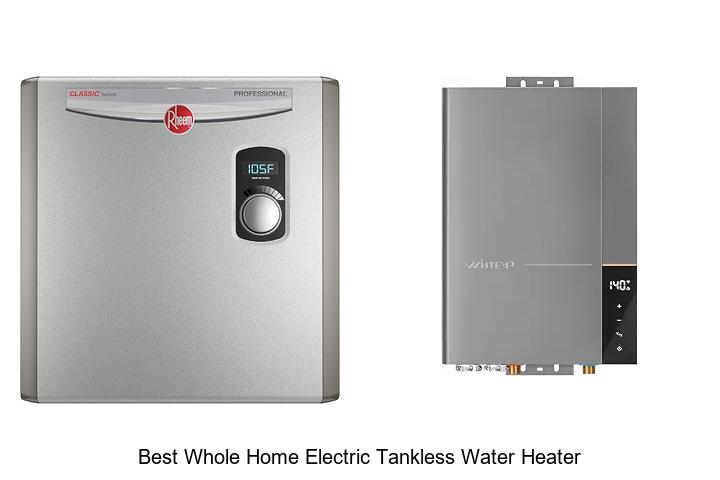 best whole home electric tankless water heater